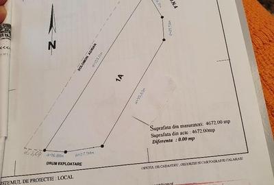 Teren de 5900 mp, în Curcani - 7