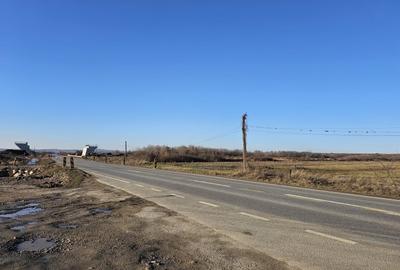 Teren Construcții extravilan de 49933 mp, în Beiuș - 10