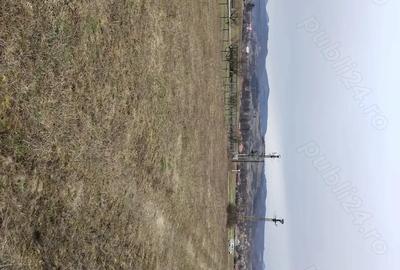 Teren de 3000 mp, în Vața de Jos - 3