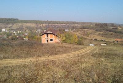 Teren de 4900 mp, în Leamna de Sus - 3