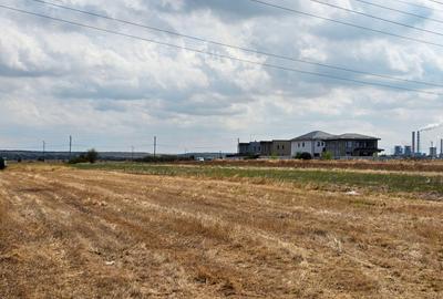 Teren Construcții intravilan de 8000 mp, în Șimnicu de Sus - 3