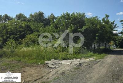 Spațiu comercial, în Viforâta