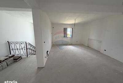 Casă cu 5 camere cu Teren 3960 Mp în Milcovul - 4