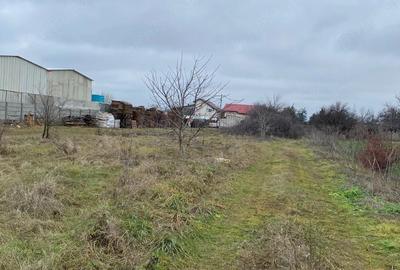 Teren de 3000 mp, în Glina - 1