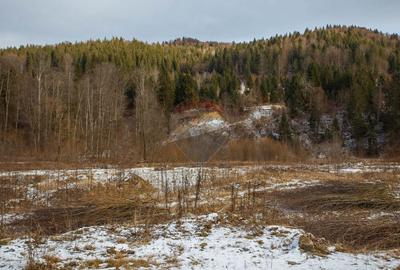 Teren intravilan de 49000 mp, în Borca - 6