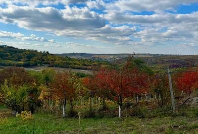 Teren de 1130 mp, în Săldăbagiu de Munte