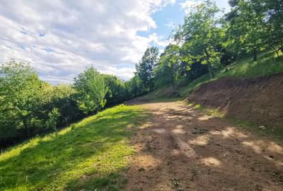 Teren Construcții intravilan de 8655 mp, în Breaza - 5