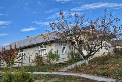 Casă cu 8 camere cu Teren 4158 Mp în Stănilești - 1