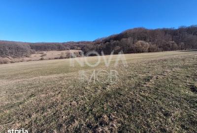 Casă cu 5 camere cu Teren 22852 Mp în Central