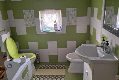 Casă cu 4 camere în Sânmihaiu Român