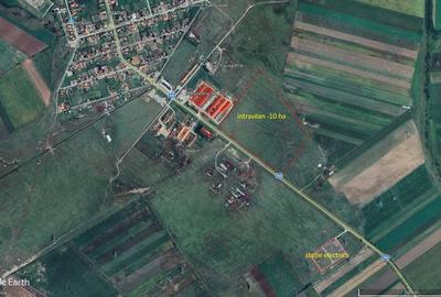 Teren de 100000 mp, în Nădab - 6
