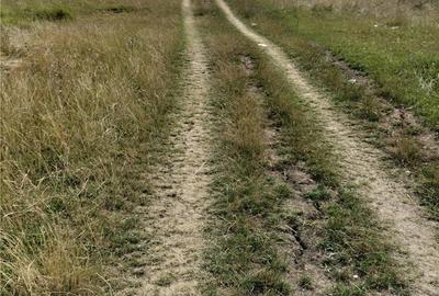Teren de 4200 mp, în Nord - 4