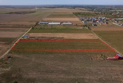 Teren Construcții intravilan de 6525 mp, în Adunații-Copăceni - 4