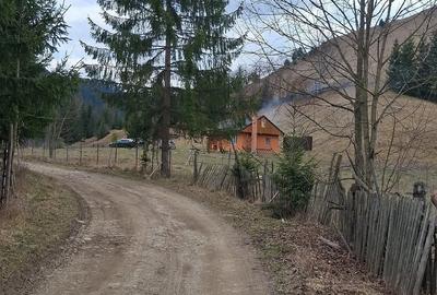 Teren de 716 mp, în Poiana Teiului - 5