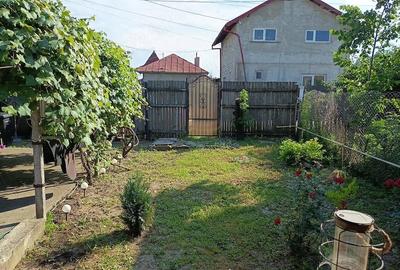 Casă cu Teren 360 Mp în Viișoara - 6
