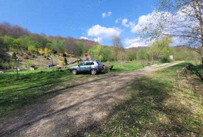 Teren de 4000 mp, în Satu Mare - 2