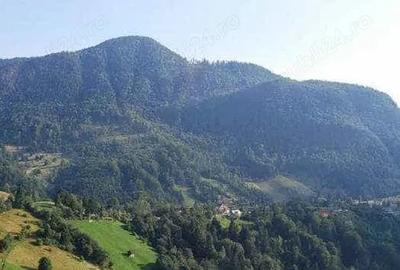 Teren de 90000 mp, în Albești