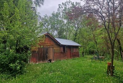 Casă cu 4 camere cu Teren 6000 Mp în Bezdead - 33