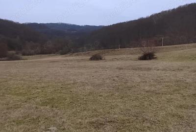 Casă cu 2 camere în Central - 5