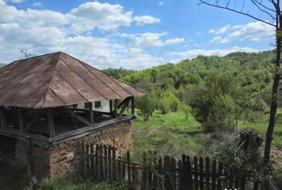 Casă cu 2 camere cu Canalizare în Căpățânenii Pământeni - 1