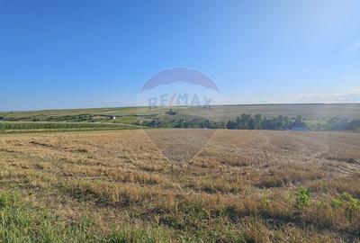 Teren Construcții intravilan de 7500 mp, în Moara Carp - 10