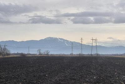 Teren de 45770 mp, în Stupini - 3