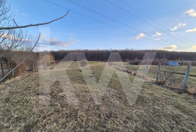 Teren de vanzare – 2.106 mp, agricol extravilan, Calinis, Rasinari - 3