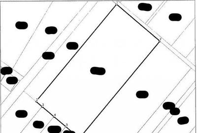 Teren intravilan 1 Decembrie, judetul Ilfov, ID: R2319723 - 2