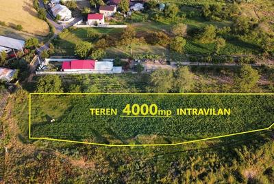Teren 4,000mp Campineanca / Strada Podgoriei - 3