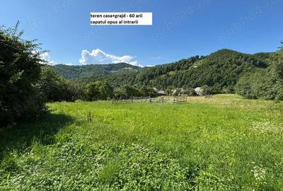 Teren de 35000 mp, în Parva - 1