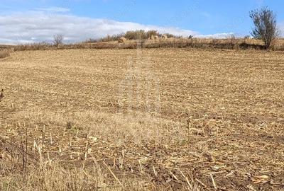 Teren de 9300 mp, în Șura Mare