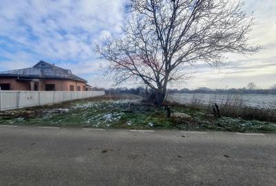 Teren de 1564 mp, în Gologanu - 3