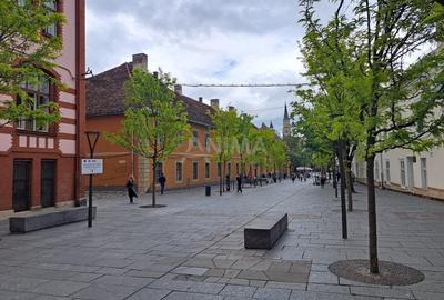 Apartament 2 camere ultracentral, parcare in curte - 12