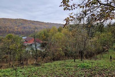 Teren de 2300 mp, în Vâlcănești