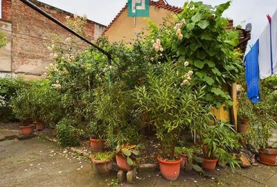 Apartament la casă cu 4 camere în Pârneava - 14