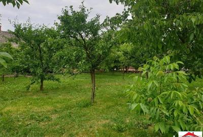 Casă cu 4 camere cu Teren 2363 Mp în Căuaș - 10