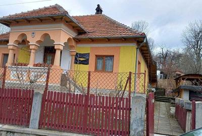 Casă cu 3 camere în Dobriceni - 1