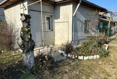 Casa Calea Domneasca 70mp, teren 350mp - 26