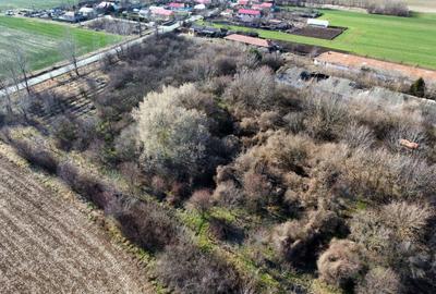 Teren Construcții intravilan de 70291 mp, în Micșunești-Moară - 5