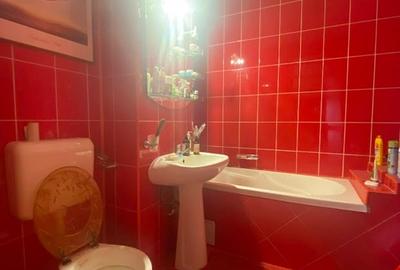 Oferta vanzare penthouse, ap 2 cam, 155 mp, Negru Voda, 149000 euro - 15