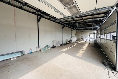 Spațiu industrial, de 150 mp, în Roșu - 2