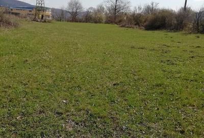 Teren intravilan Viisoara - 1