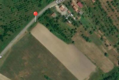 Teren de 15000 mp, în Mihăești - 3