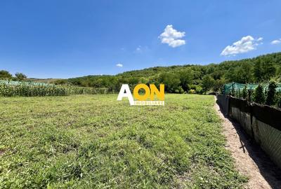 Teren Construcții intravilan de 3514 mp, în Ciugud - 1