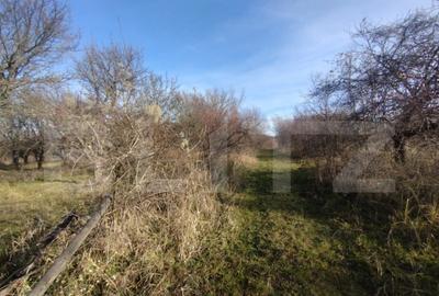 Teren extravilan, 20 ari, livada pomi fructiferi, zona Subce - 11