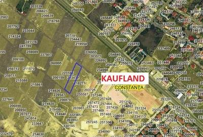 Teren 2500 mp zona Boreal - 4