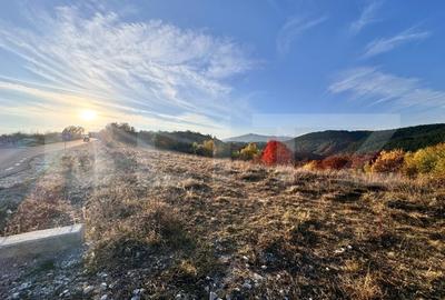 Teren de vanzare la drum asfaltat Ramet - 3