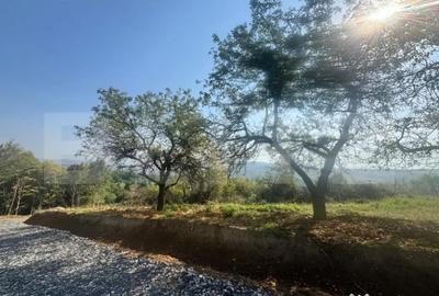 Teren de 570 mp, în Viișoara