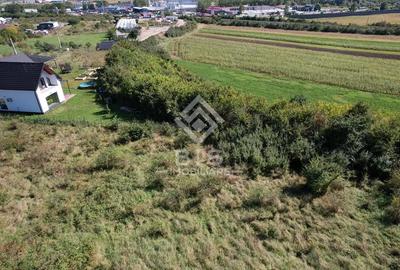 Teren de 2500 mp, în Viișoara - 6