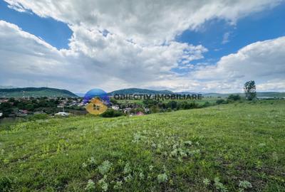Teren intravilan Piatra-Neamt- cartier Ciritei - 5